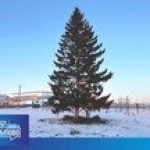 Горки, лёд и праздник: Шарыпово начинает готовиться к Новому году