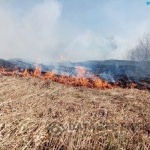 � 28 ����� � ����������� ������ ����� �������� ������������� �����