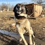 ������ ������������ ������� ����� ����� ����� ��������